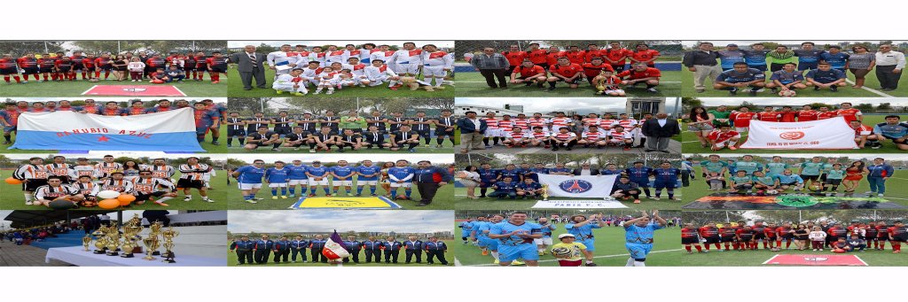 LBolivariana's profile banner image