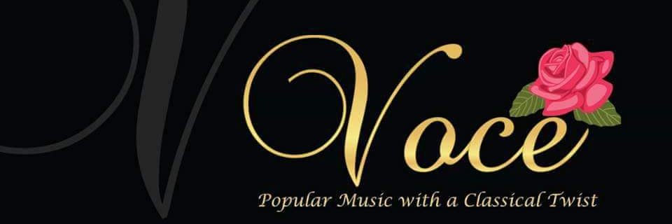 VoceOfficial's profile banner image