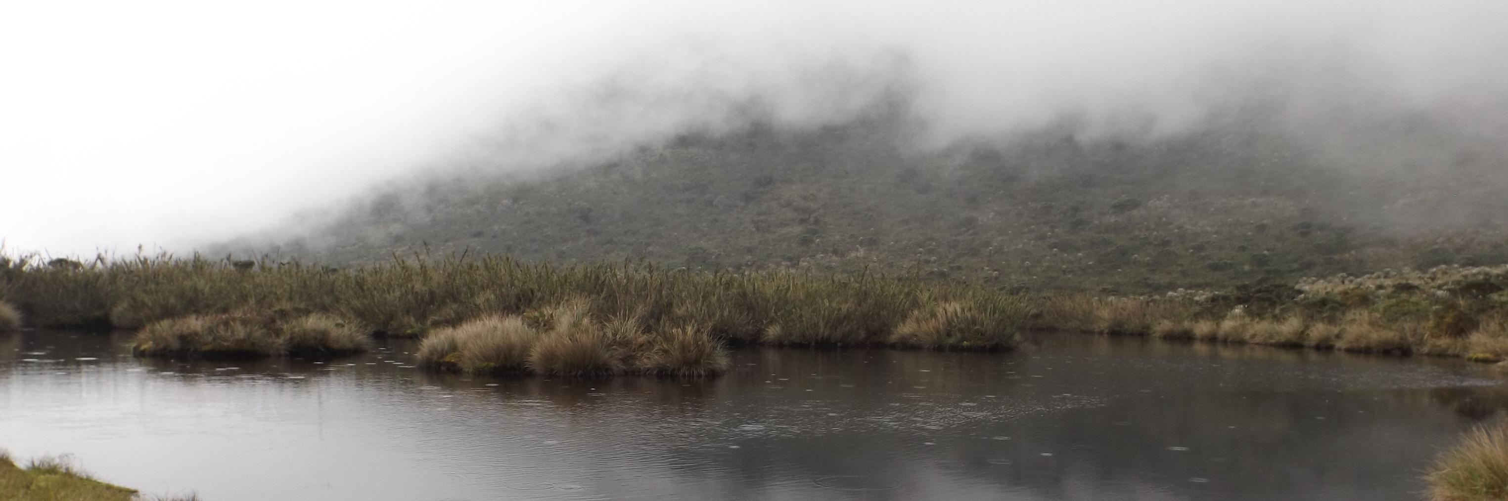 DavidOsorioMej's profile banner image