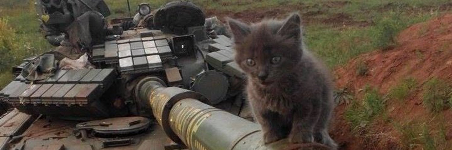 Cat_Intel's profile banner image