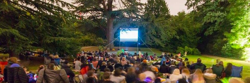 streathamfilm's profile banner image
