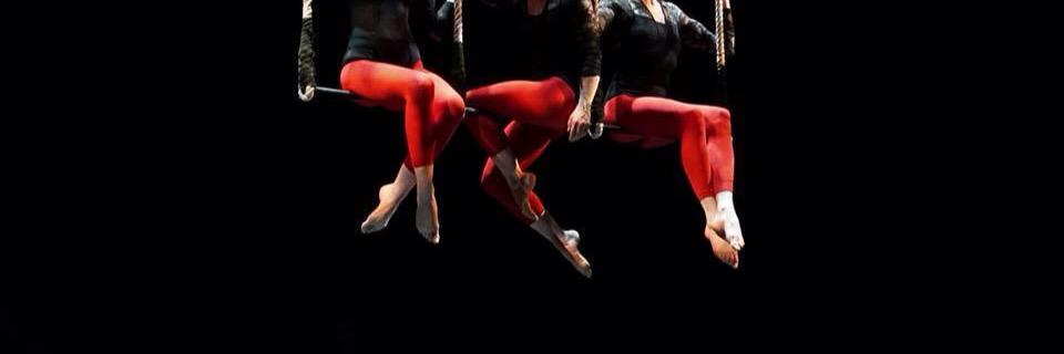 Michaela O'Connor banner