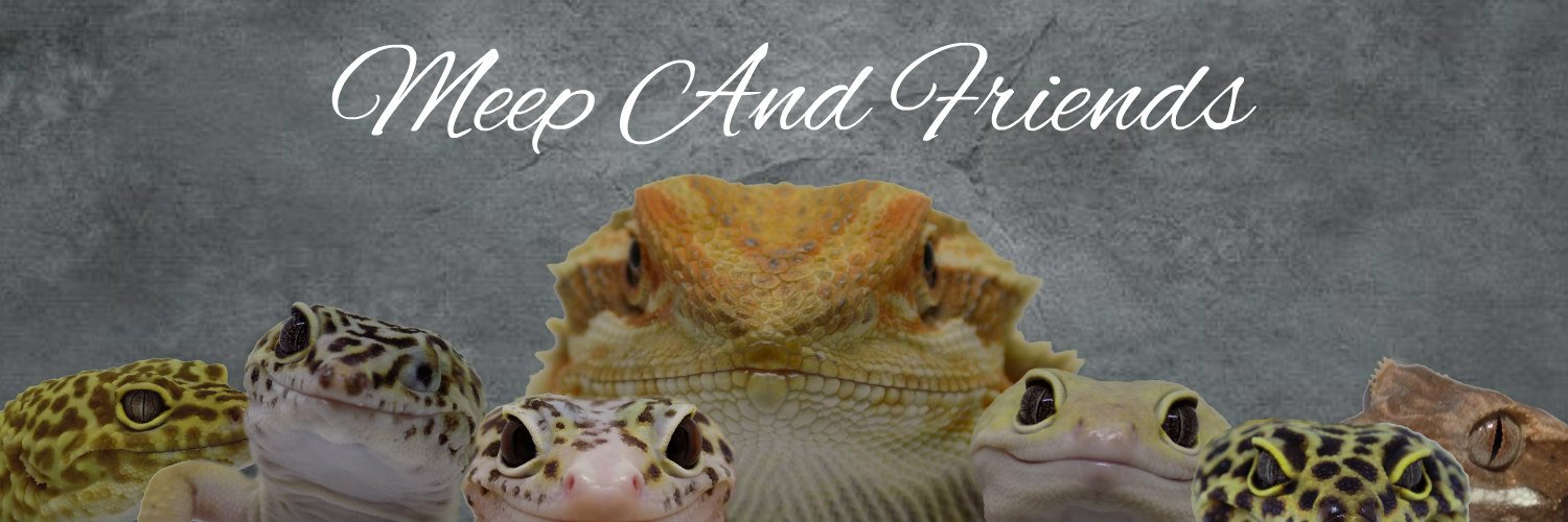 MeepandFriends's profile banner image