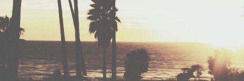 cxnncr's profile banner image