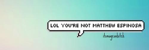 _to_matt's profile banner image