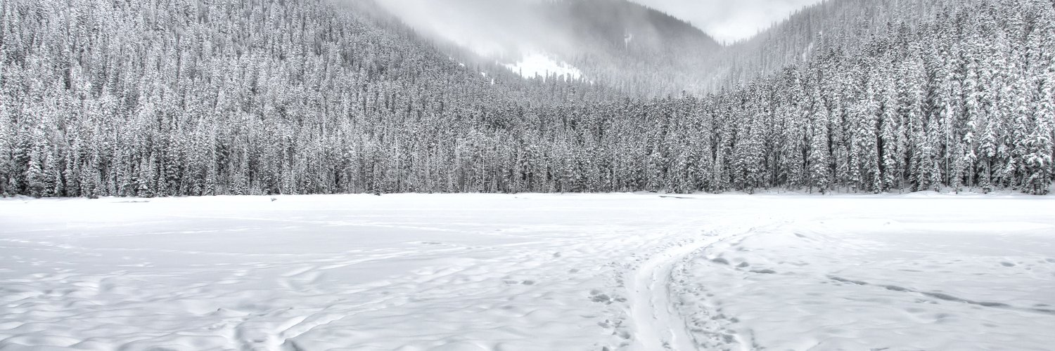 TimelessTF2's profile banner image