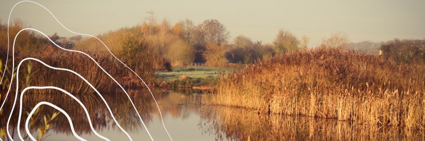 SomersetCouncil's profile banner image