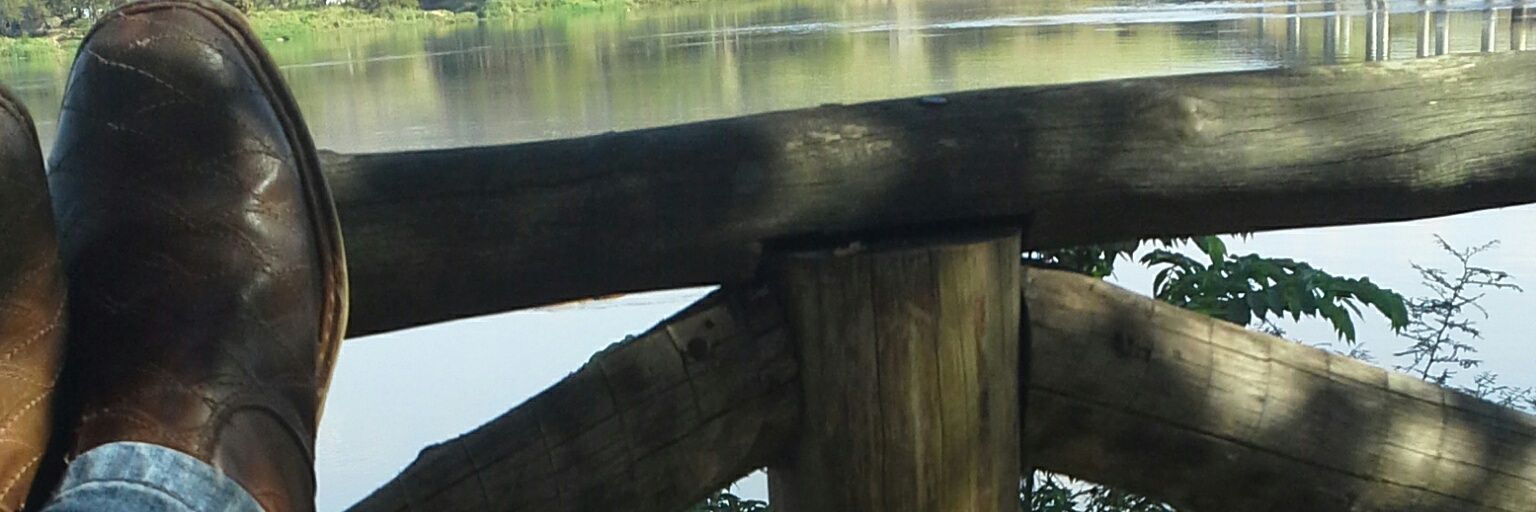dougalscoxa's profile banner image