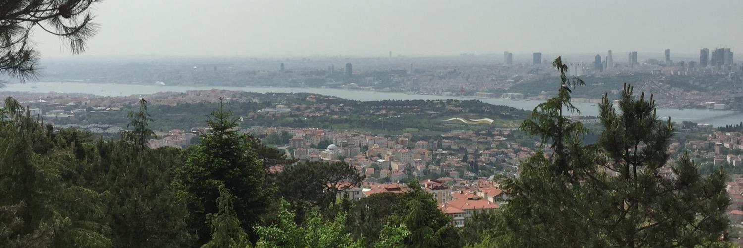 LernaAsurluoglu's profile banner image