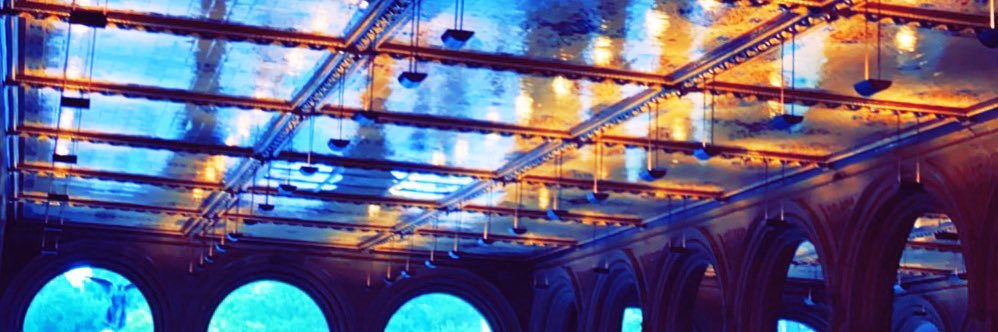 ailiahrizvi's profile banner image