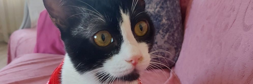 miniksesler_'s profile banner image