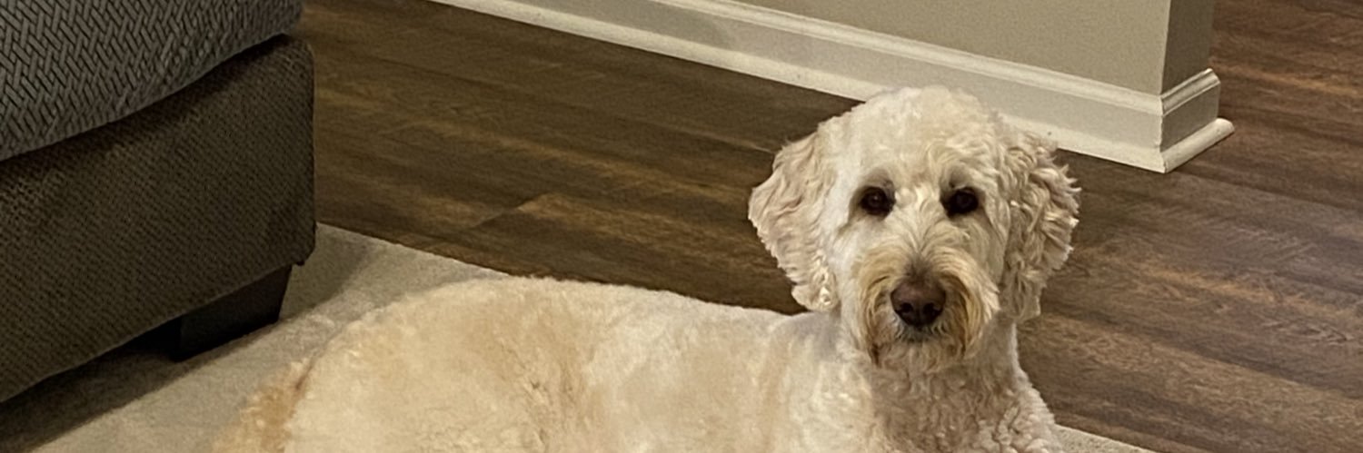 Jessica Bracamonte banner