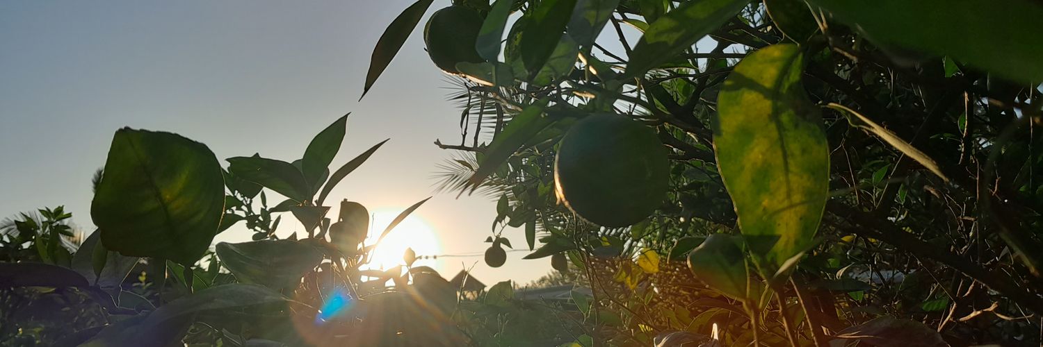 Bellessbe23's profile banner image