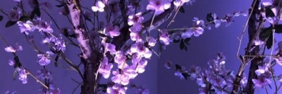 KourtneyKfan's profile banner image