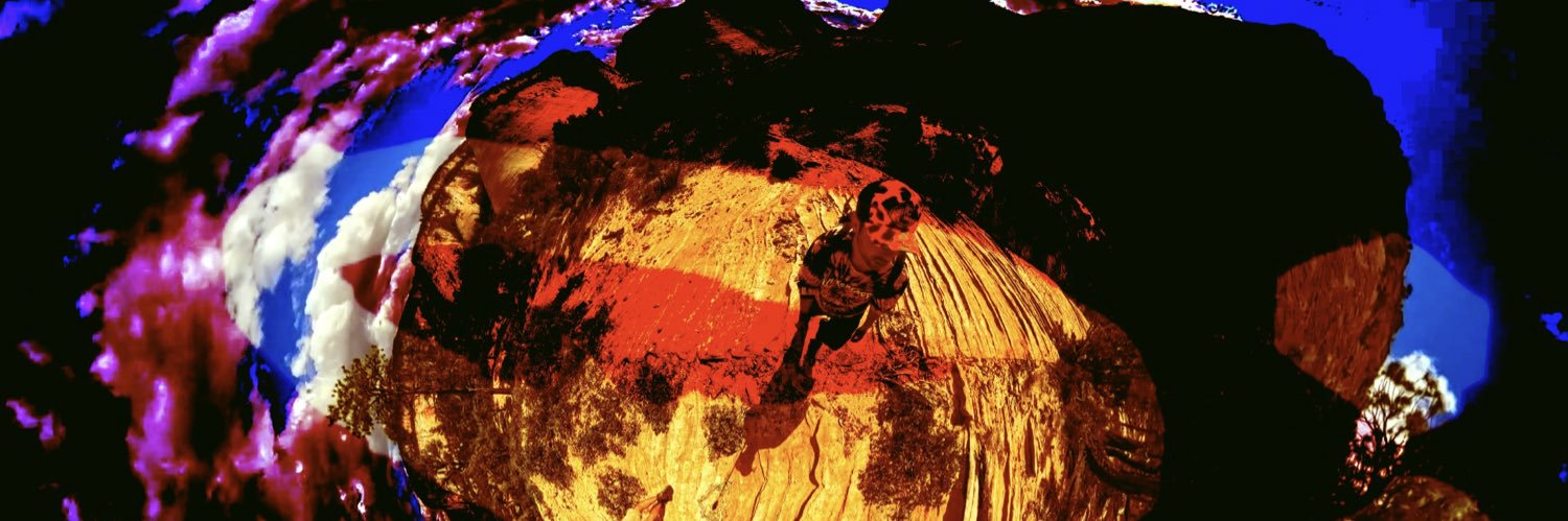 Shöckface banner