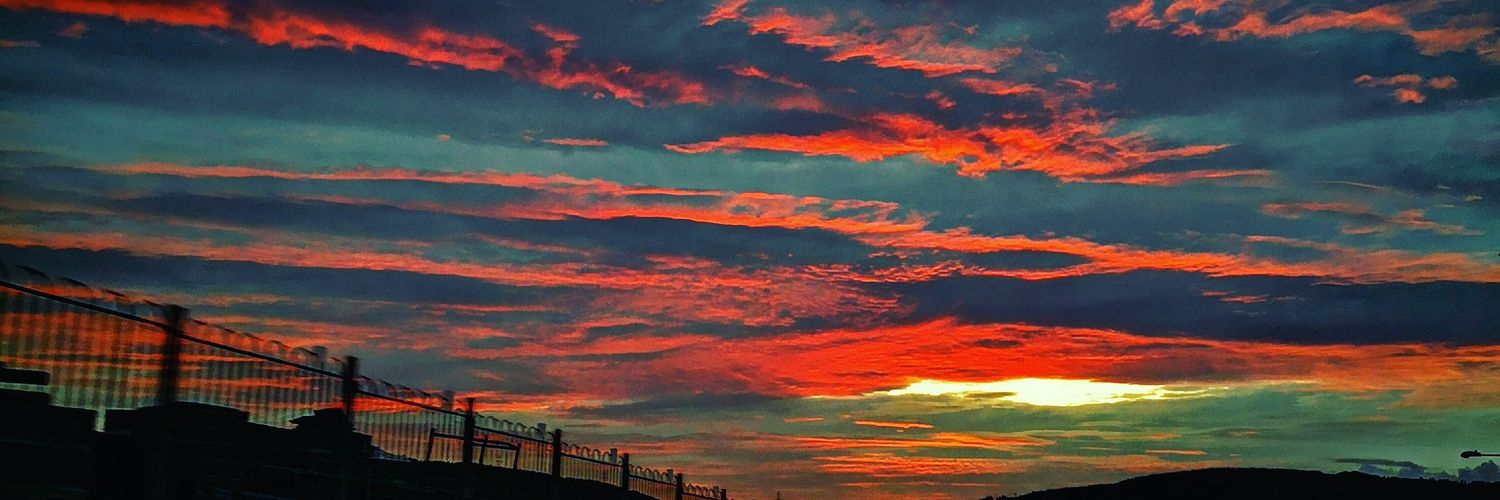 shazforan's profile banner image