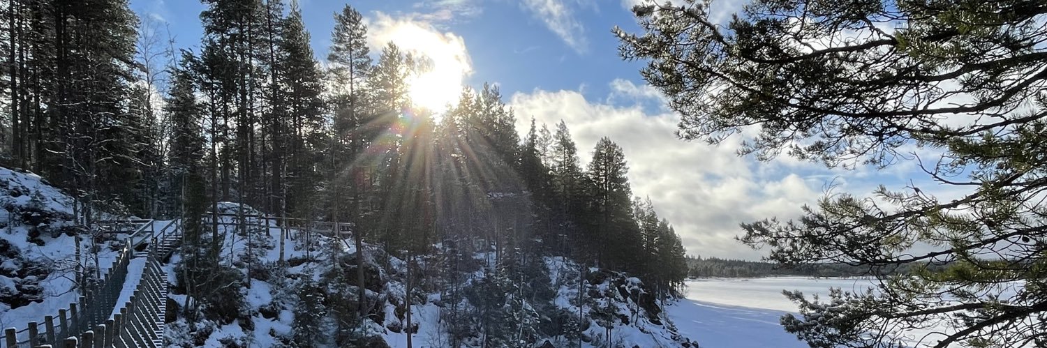 Jani Karjalainen banner