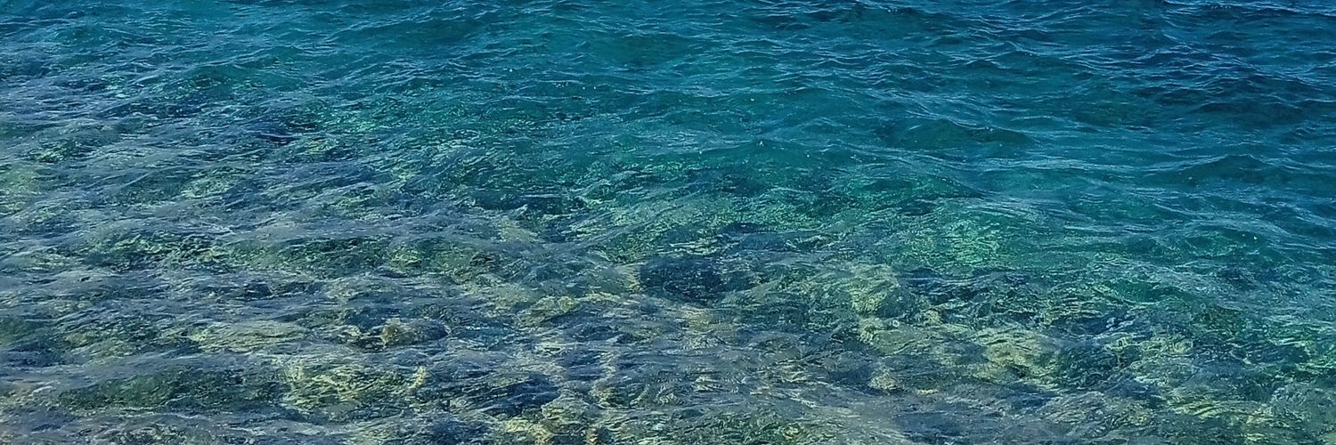 patrii_nc's profile banner image