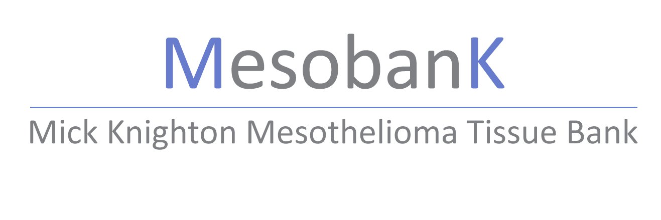 MesobanK's profile banner image