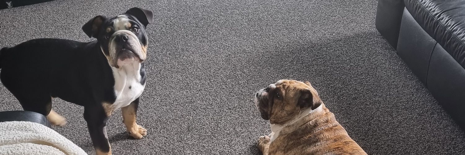Mtchemi's profile banner image