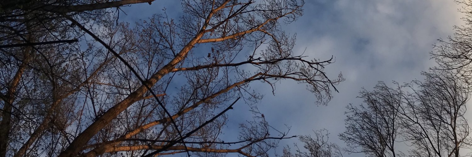asudebilg's profile banner image