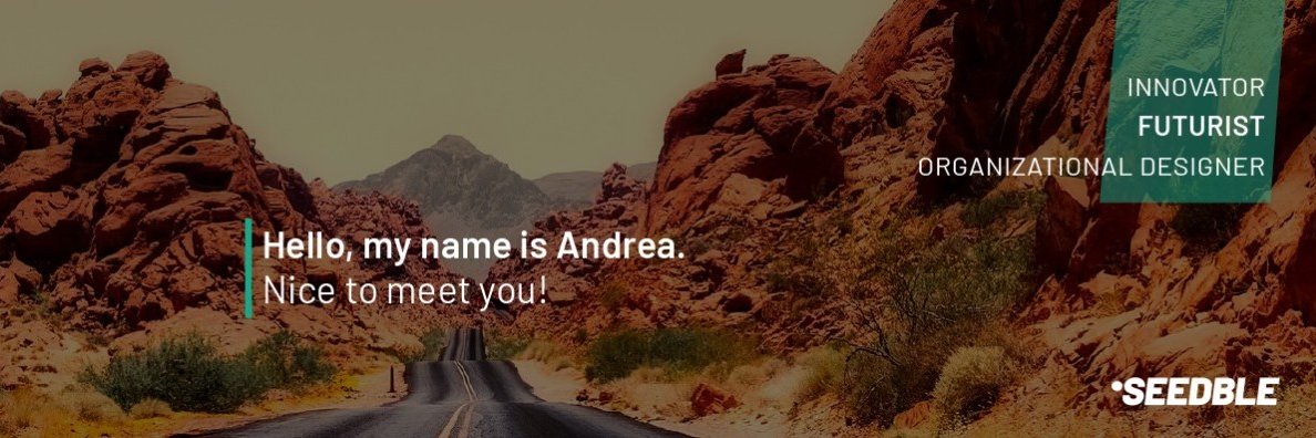 Andrea Solimene banner