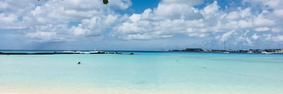 Thannya Guillén Báez banner