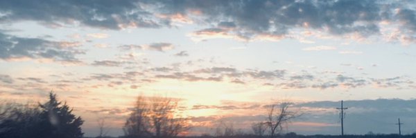 alidatodd Profile Banner