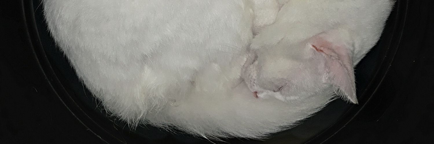 mylcedro's profile banner image