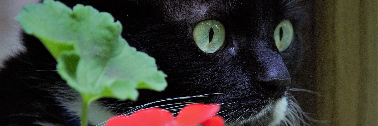 Barbara06's profile banner image