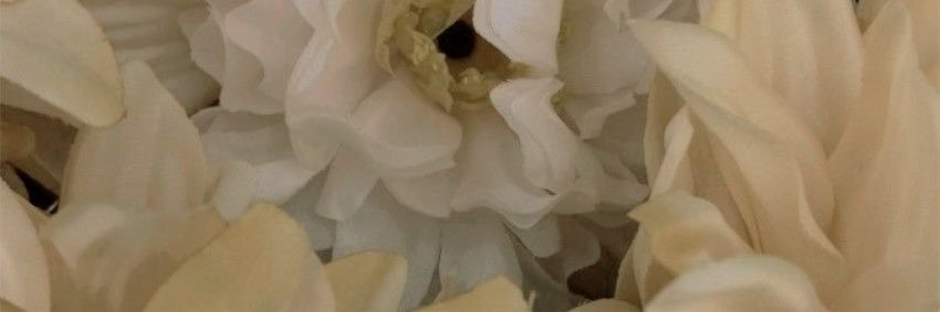 blleau's profile banner image