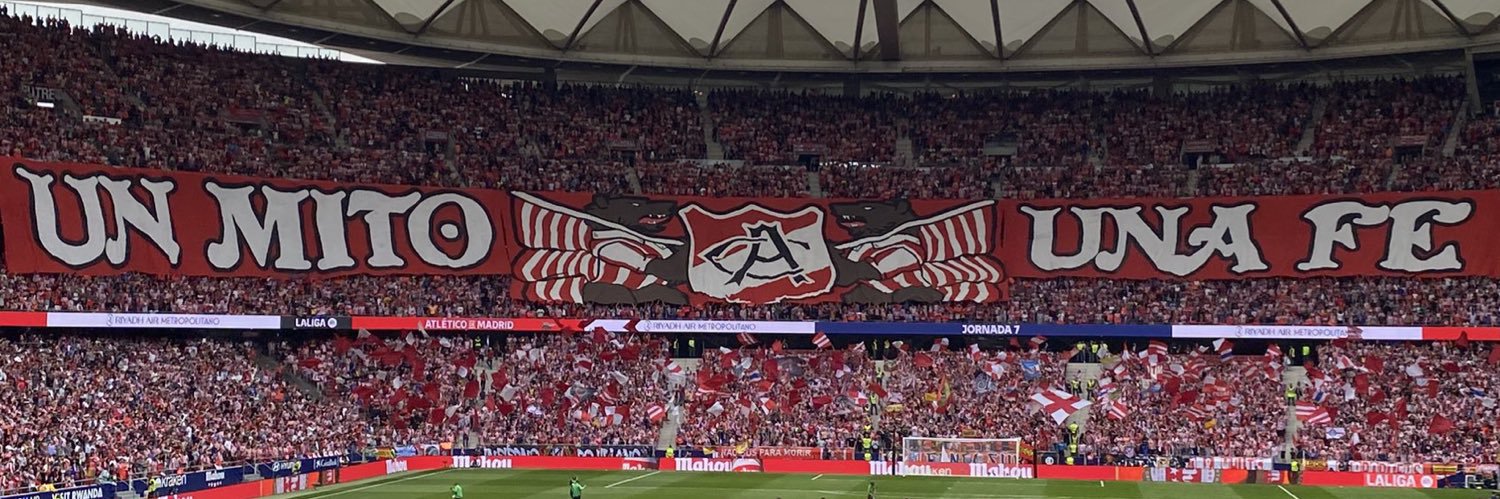 YoungBat banner