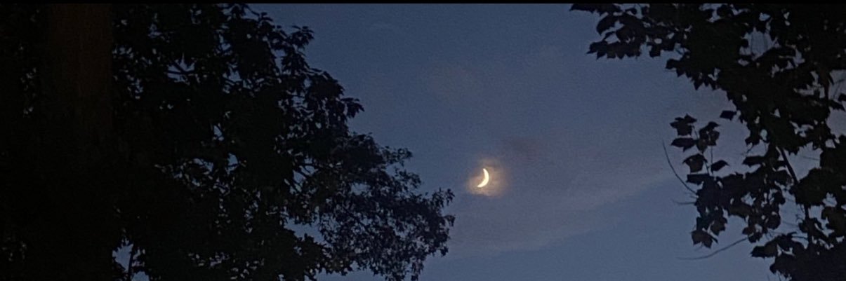 Lyssss ☾ banner
