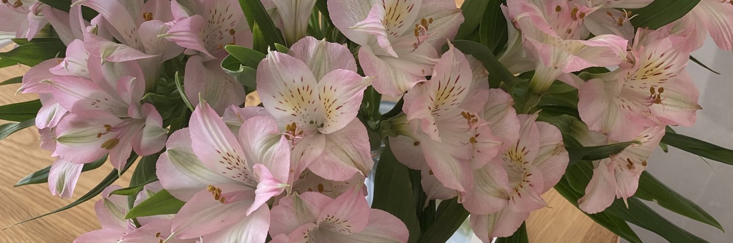 Henwickhall's profile banner image