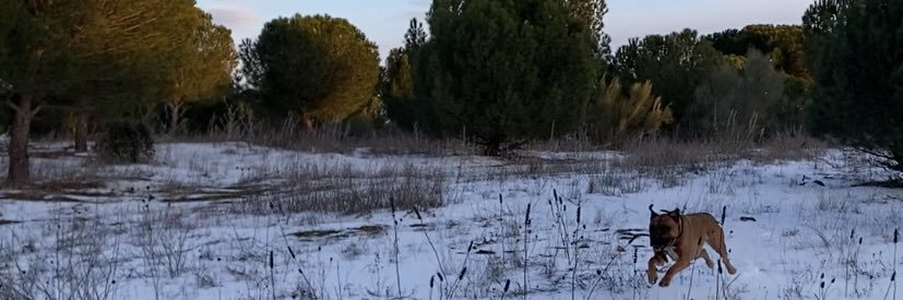 Vacanfly's profile banner image