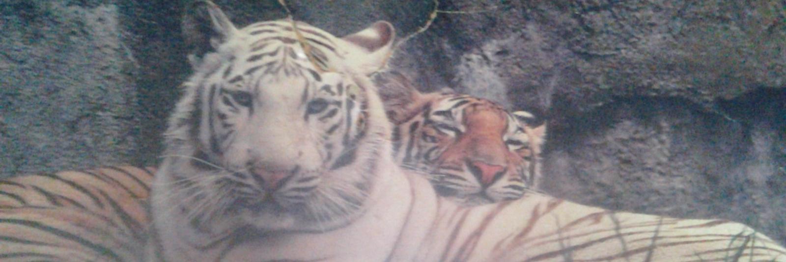 男同一键脱衣—AI脱衣 banner