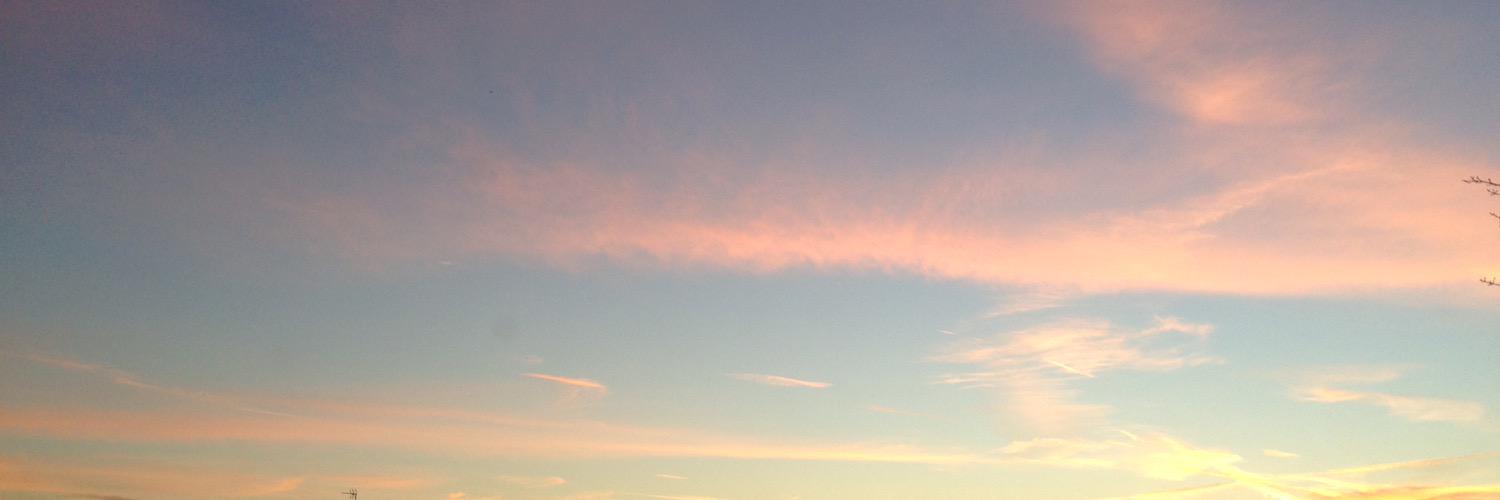 untitled banner