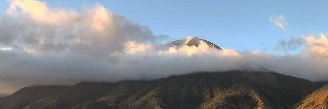 Fetnanda Blanco banner