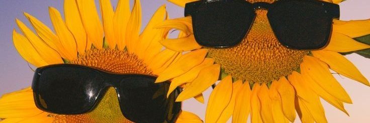 Revevnll's profile banner image