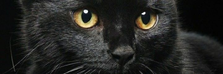 CorlyB1's profile banner image