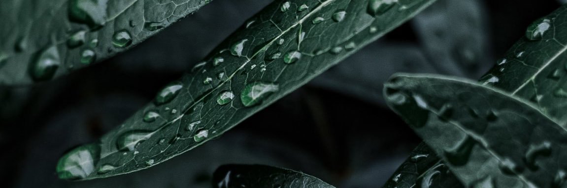 StaleFufu's profile banner image