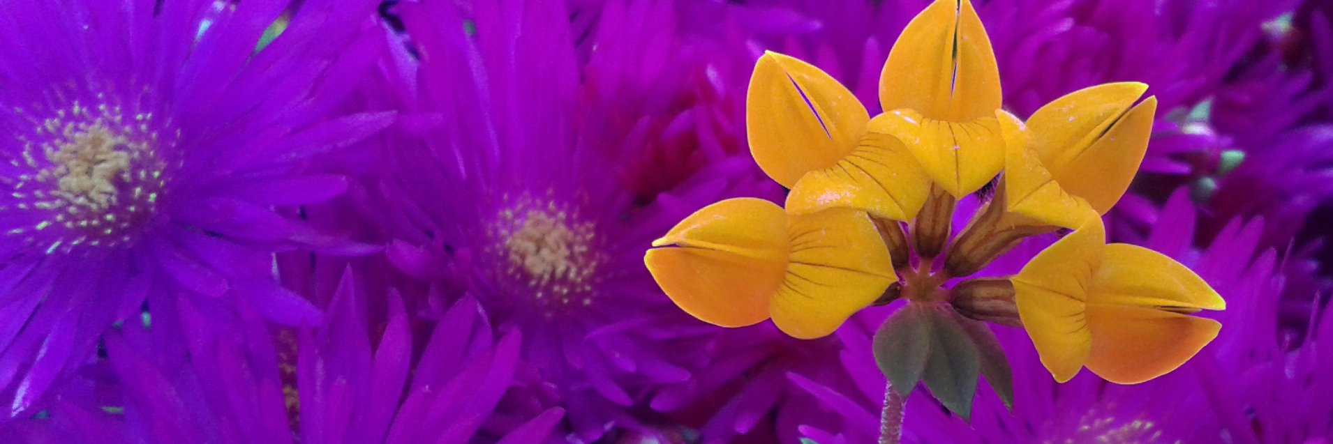 HLaaberi's profile banner image