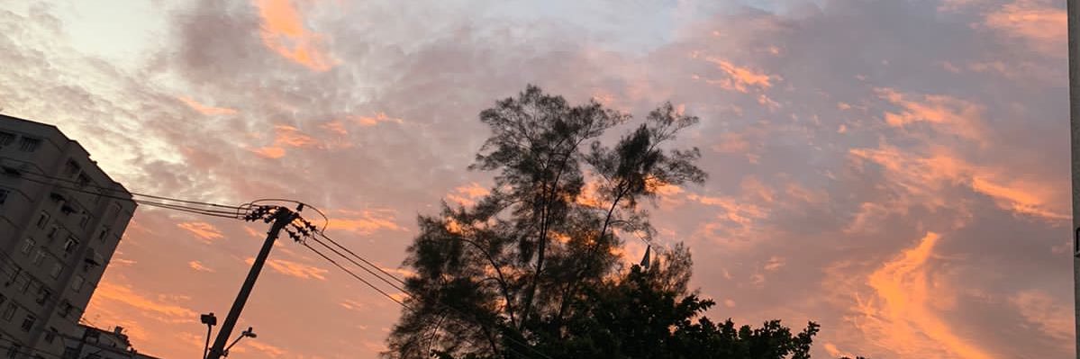 Yasmin🌼 banner