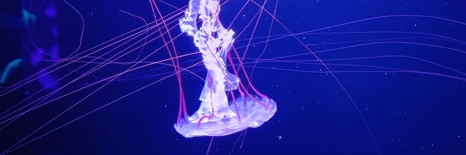 AlgoDe_Jazz's profile banner image