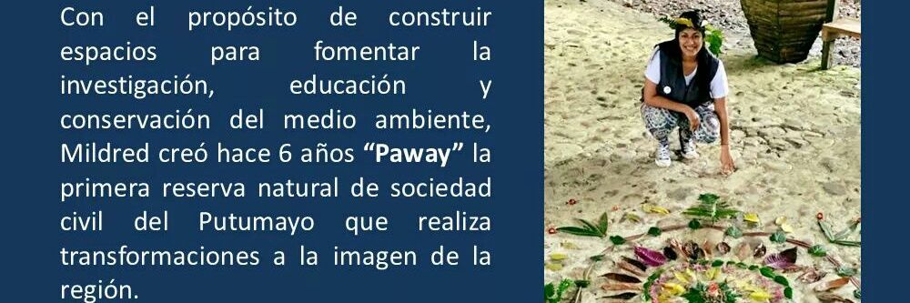 mildred_paway's profile banner image