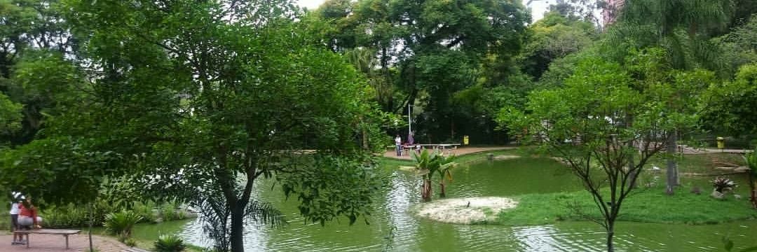 Fernando Pereira banner