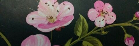 ncenteno78's profile banner image