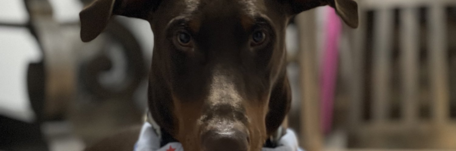 coreyldsherman_'s profile banner image