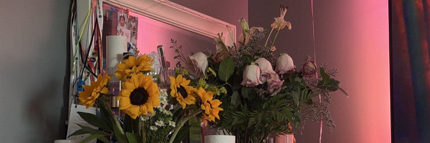 vsarahrv's profile banner image