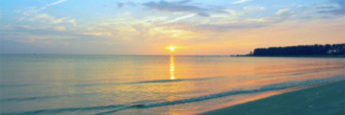 yuhtamu's profile banner image
